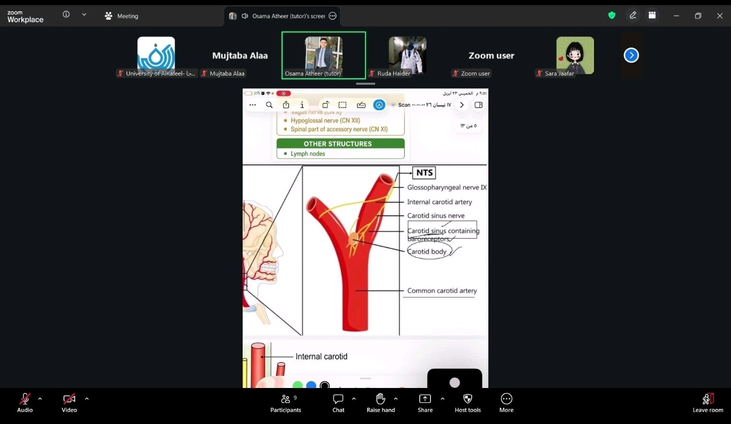 PAL Session | Clinical Applications in Neck Anatomy
